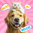 Talk2Pets icon