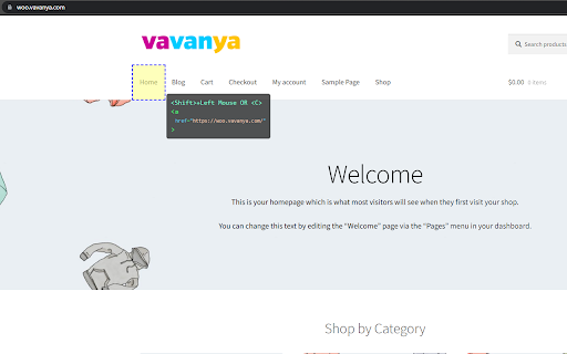 Vavanya Web Scanner