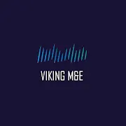 Viking ME LTD Logo