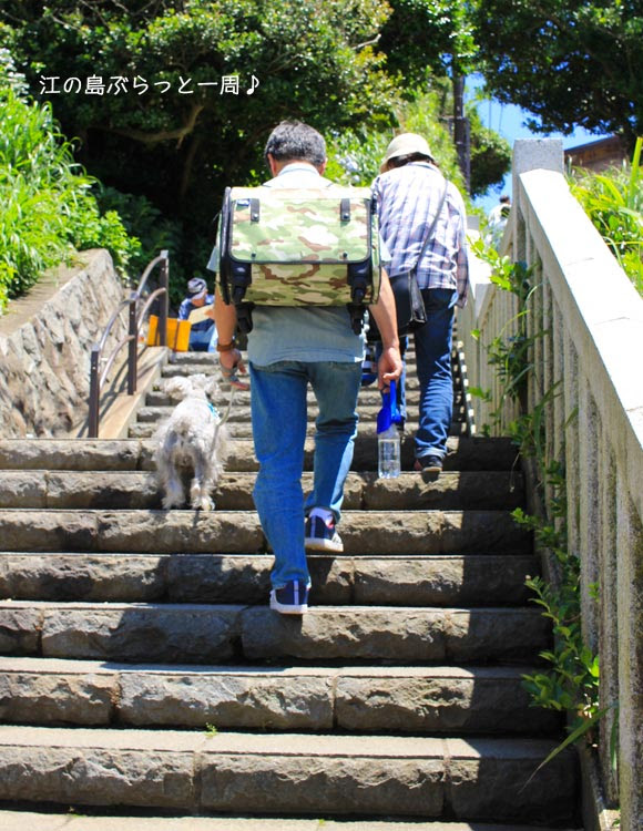 江の島 山ふたつ