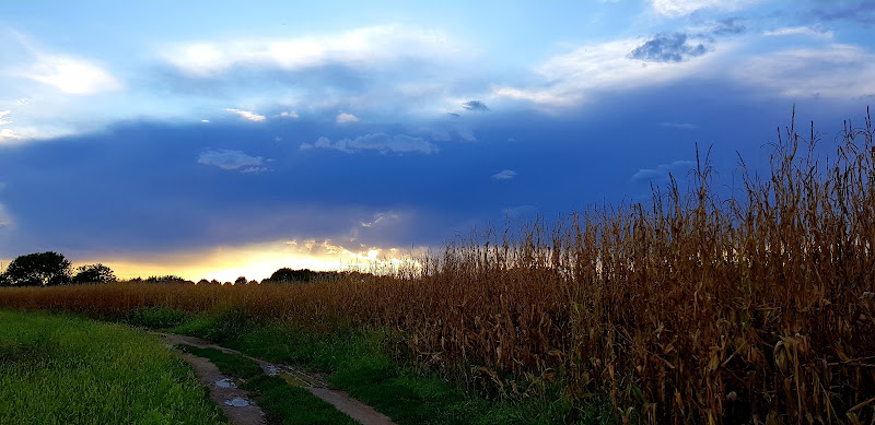 Prima di un temporale di Trifani