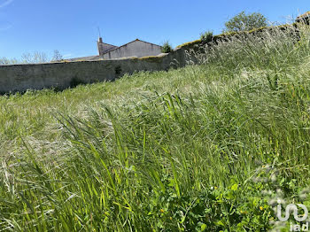 terrain à Loix (17)