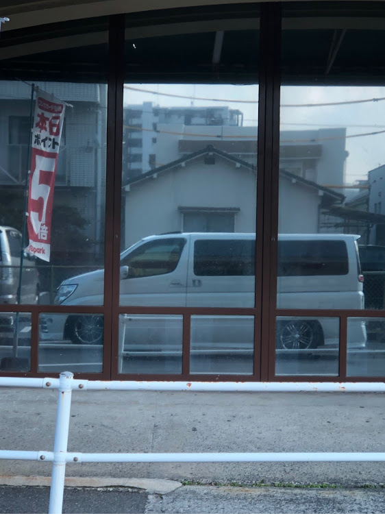 エルグランドのスパシャン施工に関するカスタム事例の投稿画像1枚目