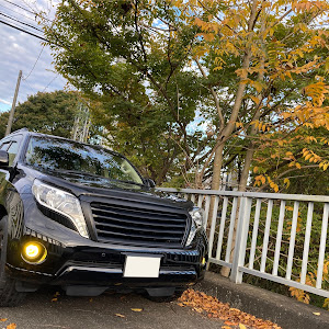 ランドクルーザープラド GDJ150W