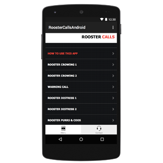 Rooster Sounds  Chicken Sound