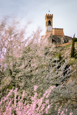 Brisighella si veste di nuovi colori di elitropia