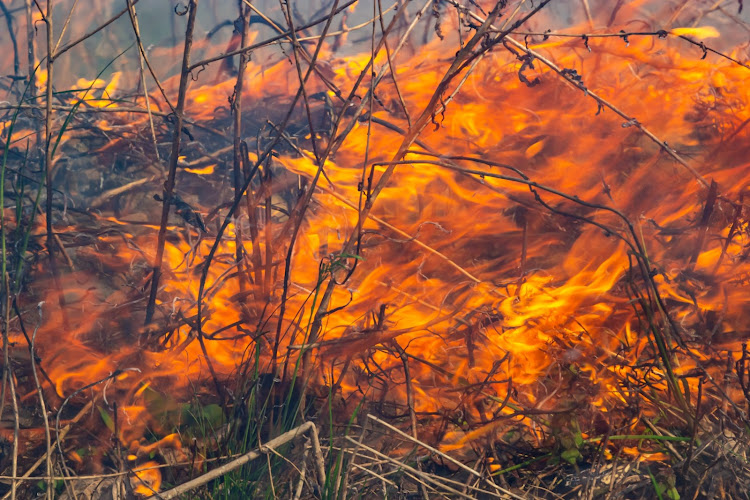 Boyes Drive was closed to traffic due to heavy smoke from the blaze above Kalk Bay. Picture: 123RF