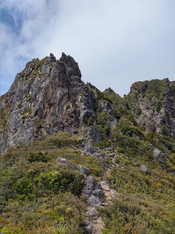 Pinnacles Walk Summit Coromandel