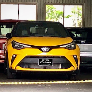 C-HR NGX10