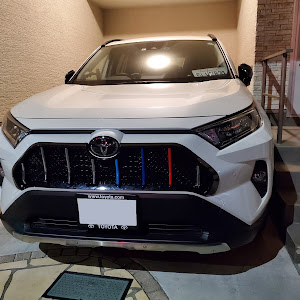 RAV4 MXAA54