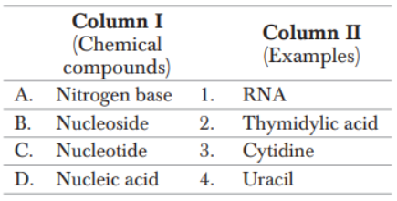 Nucleic acid (DNA/RNA)