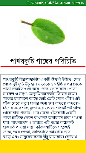 ঔষধি গাছের গুনাগুণ-BD Harbal Medicine