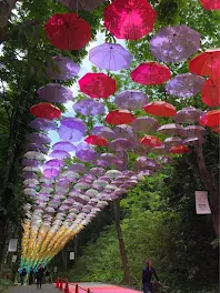 雨の日に