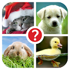 Guess the word ~ 4 Pics 1 Word 12.0.1