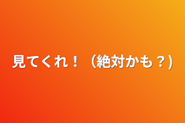 見てくれ！（絶対かも？)