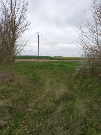 terrain à La Selle-sur-le-Bied (45)