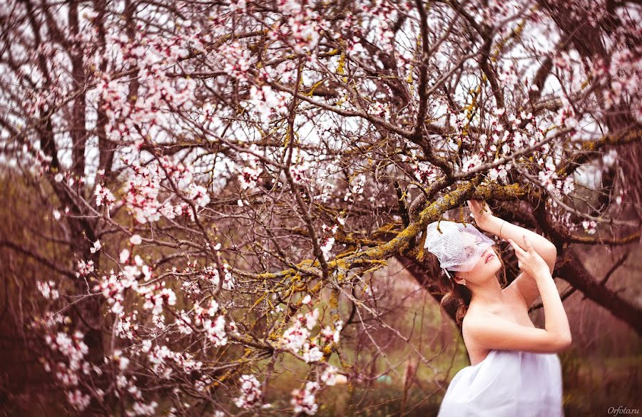 Photographe de mariage Darya Orfeeva (orfeeva). Photo du 6 avril 2016