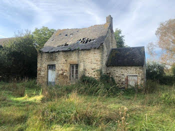 maison à Sainte-Gemmes-le-Robert (53)