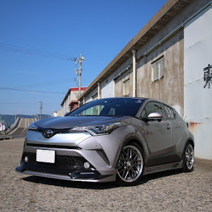 C-HR NGX50