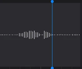 なんて言ってるでしょーか