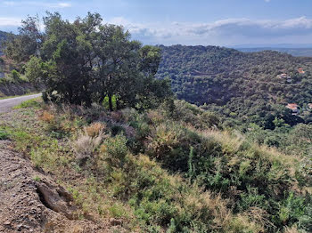 terrain à Le Boulou (66)