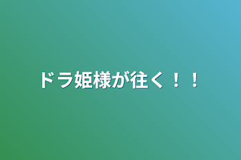 ドラ姫様が往く！！