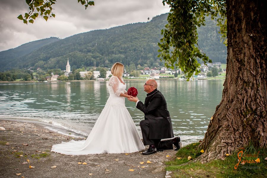 Wedding photographer Daniel Janesch (janesch). Photo of 4 June 2016