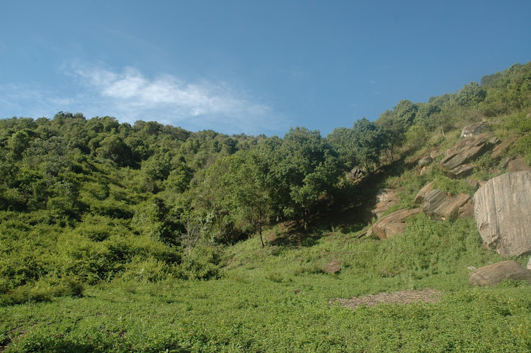 The scenery at Ol Donyo Sabuk National Park.