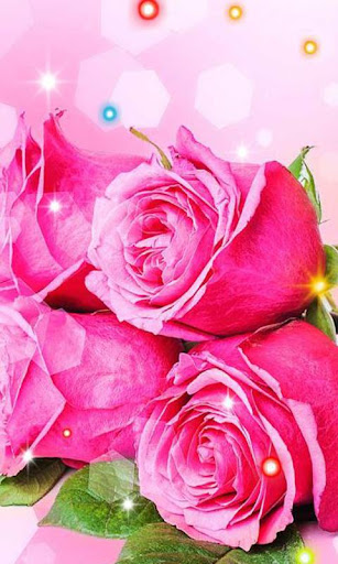 免費下載個人化APP|Roses Pink live wallpaper app開箱文|APP開箱王