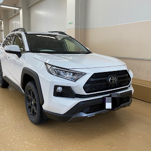 RAV4 MXAA54