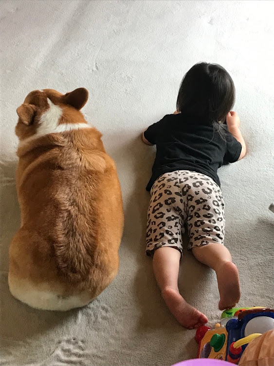 RS3 スポーツバックのみんなのセンターキャップが見たい・お題に乗っかってみた・ホイール交換に関するカスタム事例の投稿画像4枚目