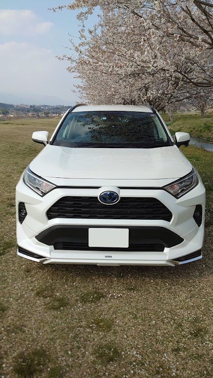 RAV4の桜と愛車・桜・rav4・SAKURAV4に関するカスタム事例の投稿画像3枚目
