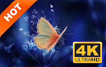 Butterfly New Tab HD Popular Insects Theme small promo image