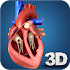 Heart Anatomy Pro. 1.5