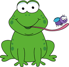 Image result for frog clipart without background