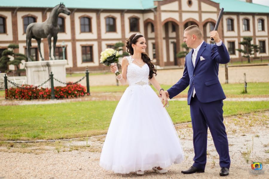 Wedding photographer Péter Lévai (lpfotovideo). Photo of 24 February 2019