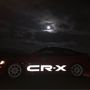 CR-X