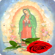 Videos de la Rosa de guadalupe 4.0 Icon