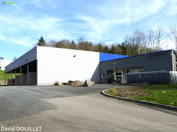 locaux professionnels à Les Forges (88)