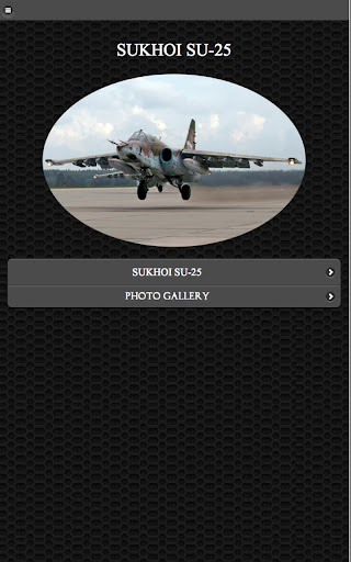 ✈ Sukhoi Su-25 Aircraft FREE