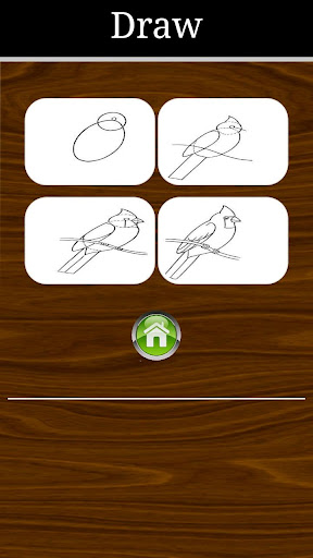 Draw Animals Step by Step