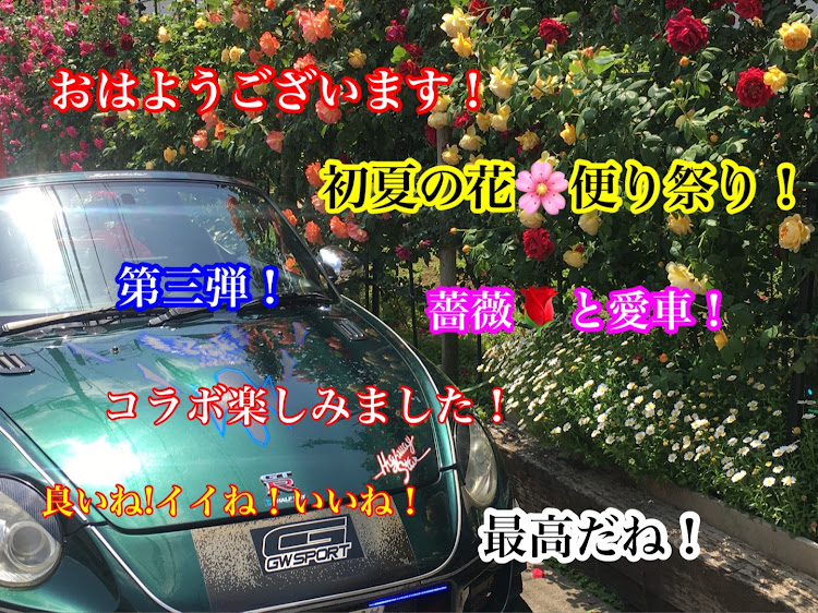 コペンの初夏の花便り祭り!第三弾!愛車と薔薇コラボを楽しみました！・幸せは自分自身で見出す物で他人から与えられる物では有りません！最高だね！・貧乏しても心❤️の貧乏人には成りたく無いですね！最高だね！・妬み!僻み!は持たず!心❤️豊かに過ごしましょう!最高だね！・人は人です!自分の納得出来る生き方をしましょう!最高だね！に関するカスタム事例の投稿画像5枚目