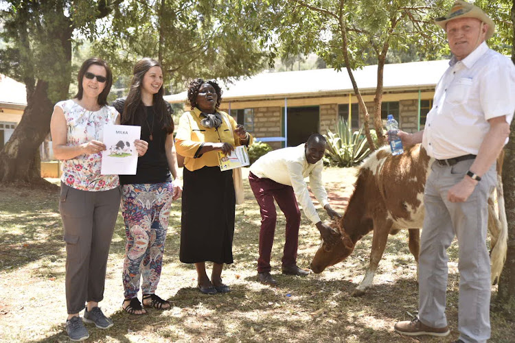 The cow donated by Pro-Kapsogo German friends on Sunday