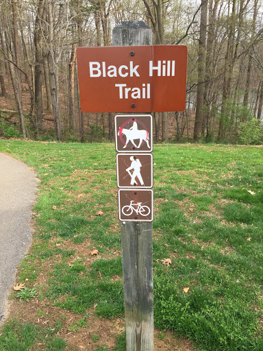 Black Hill Trail