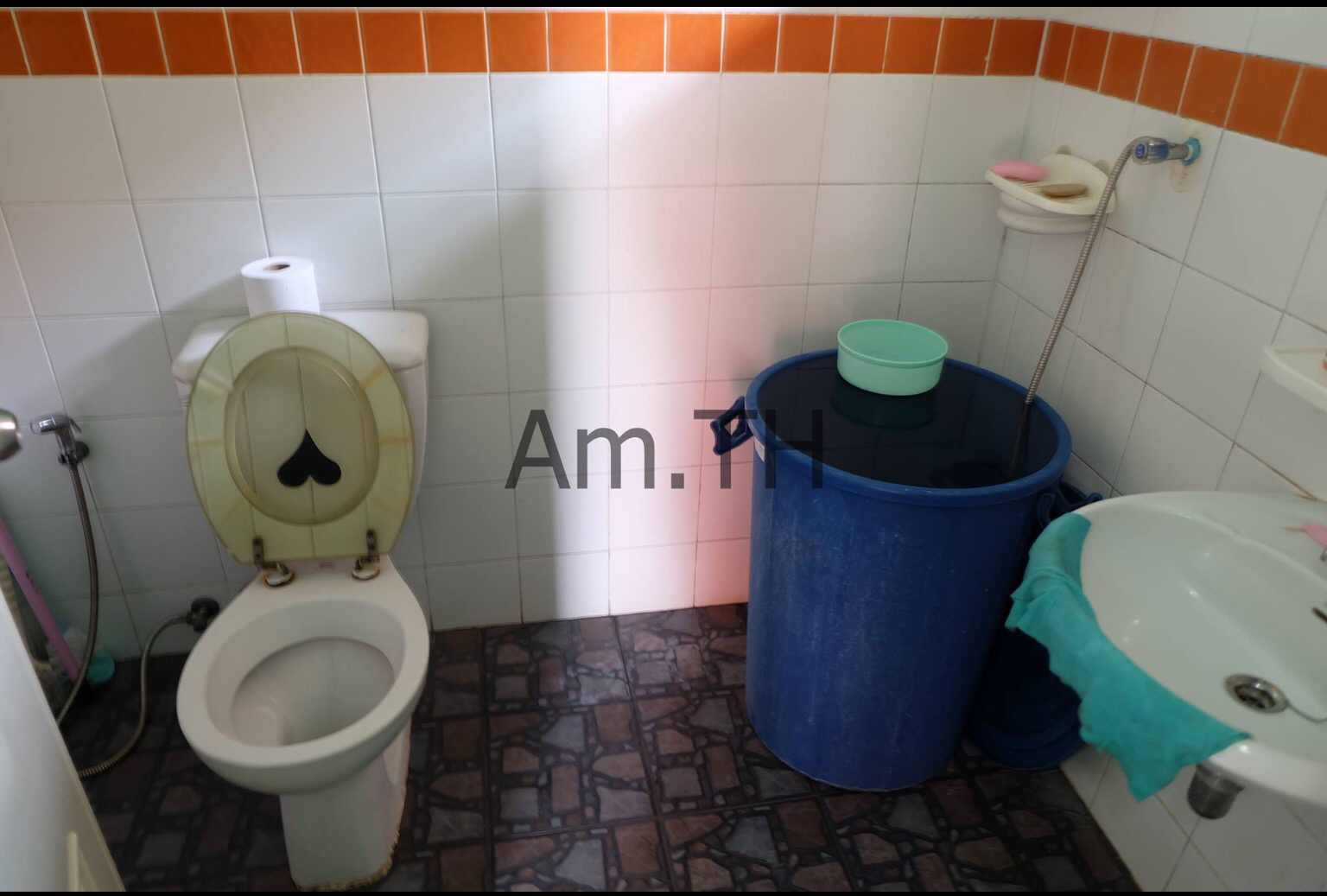 Image 31