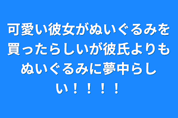 可愛い彼女がぬいぐるみを買ったらしいが彼氏よりもぬいぐるみに夢中らしい！！！！