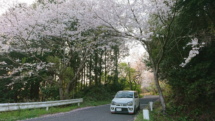 の投稿画像3枚目