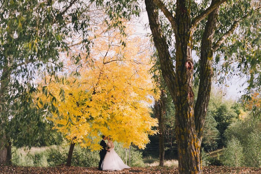 Wedding photographer Aleksey Klimov (fotoklimov). Photo of 19 December 2018