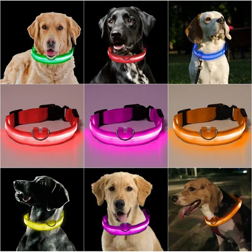 Adjustable LED Dog Collar Glowing Anti-lost Night Safety Pet Luminous Collar Flashing Necklace For Small Medium Large Do