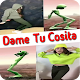 Download Supar Hit Song Dame Tu Cosita For PC Windows and Mac 1.0